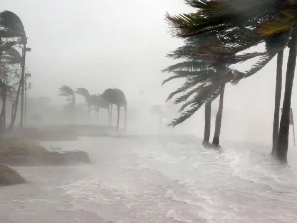 Depois da Tempestade